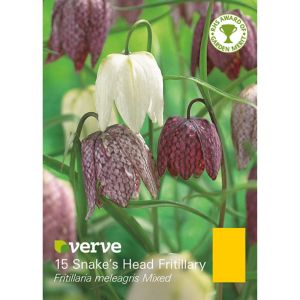 Verve Fritillaria Meleagris Mixed Flower Bulb, Pack Multicolour