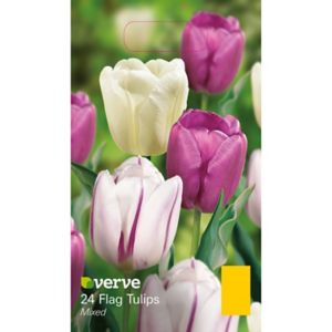 Verve Mixed Flower Bulb, Pack Multicolour