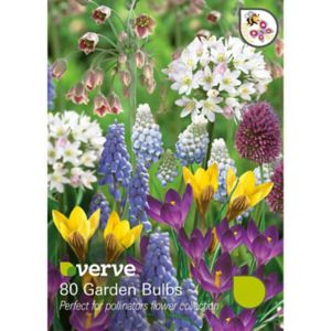 Verve Perfect For Pollinators Flower Bulb, Pack Multicolour