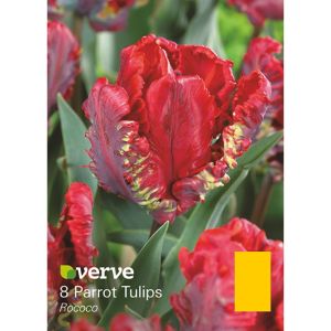 Verve Rococo Flower Bulb, Pack Red