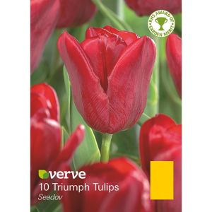 Verve Seadov Flower Bulb, Pack Red