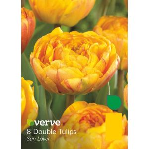 Verve Sun Lover Flower Bulb, Pack Orange